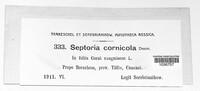 Septoria cornicola image